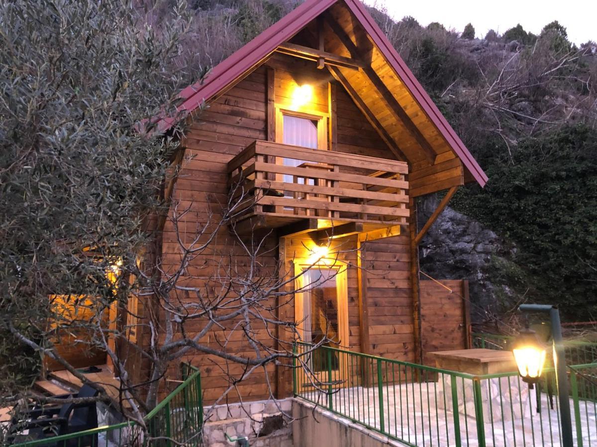 Apartments "Old House Pajovic" Virpazar Zewnętrze zdjęcie